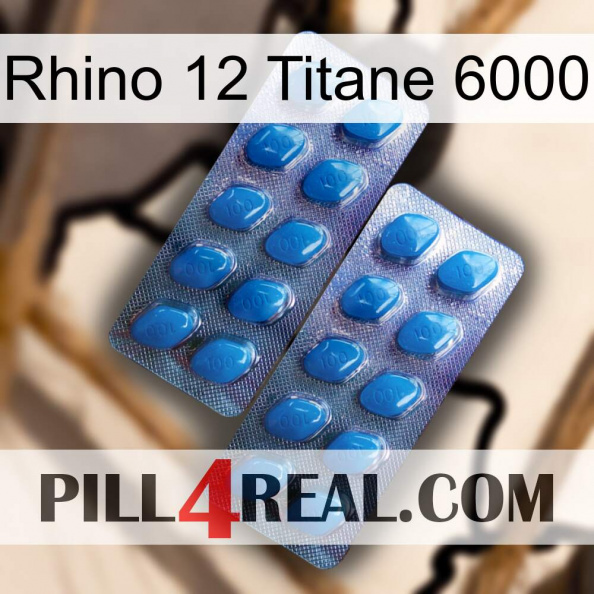 Rhino 12 Titanium 6000 viagra2